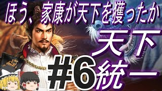 【信長の野望新生PK　超級】復活した織田家で徳川幕府に挑む！天下統一！パート6【ゆっくり実況】