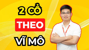 TOP 2 cổ phiếu hưởng lợi VĨ MÔ