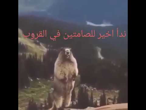 عااا عااا عااا