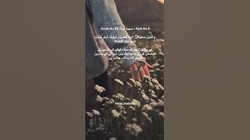 Surat No 34:سورة سبأ|Ayat No 5# #halal #ayatinquran #halalmatters #quranverses #shortfeed#shortvideo