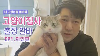 EP01 고양이집사의 출장알바 지인편 l 내고양이를돌봐줘