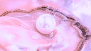 ππππππ ππ¦π π‘πππ (2026)
