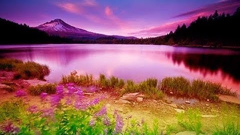 سورة البينة القارئ رعد الكردي تلاوة رائعه ماشاء الله Surah Al bayina Best Recetation HD