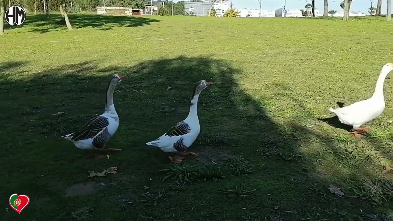 Parque da Paz, Almada Portugal