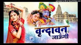 vrindavan jaungi sakhi na lot ke Aaungi ( Dj Remix Song ) Dj DholkI Mix Dance Mix Dj Song