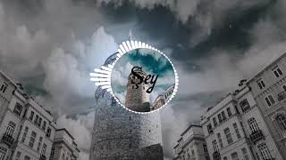 L Feride Hilal Akın & Hakan Tunçbilek - Gizli Aşk