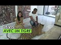 Je vis avec un tigre