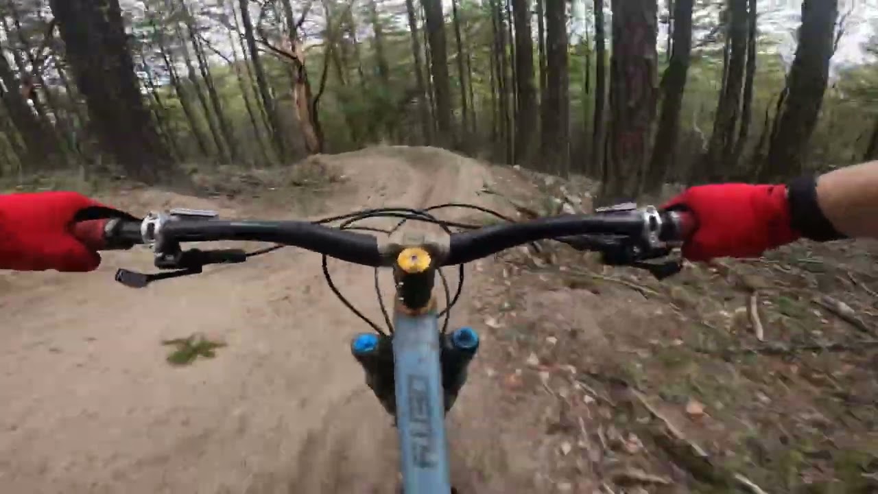 Lizard trail ashland oregon