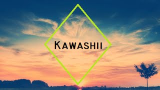 Syn Cole - Bright Lights (Extended by Kawashii)