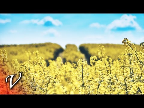 Watch Vetlemoe - May on YouTube Watch Vetlemoe - May on YouTube