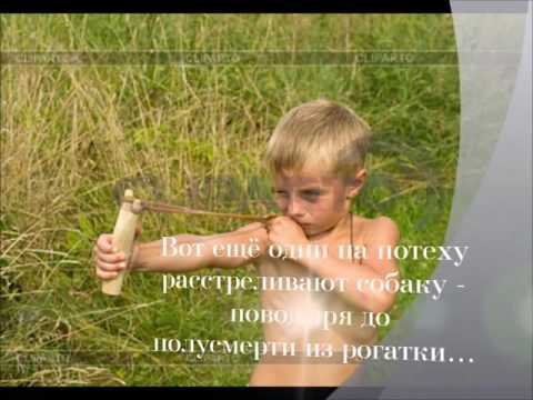 Буктрейлер по повести М Самарского «Радуга для друга»