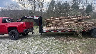 Cedar for Blue Collar works to saw!! by NYA Millennial 14,393 views 8 days ago 35 minutes