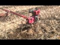 With power weeder cultivation of vegetables crops