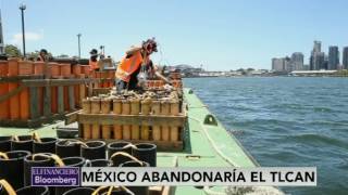 México debe tener una línea clara de hasta dónde ceder en negociación del TLCAN: experto