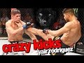 Yair Rodriguez All Crazy Kicks in MMA