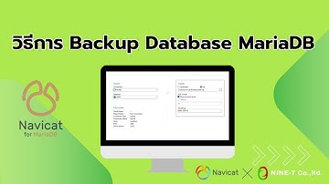วิธีการ Backup Database MariaDB ด้วย Navicat 17 for MariaDB