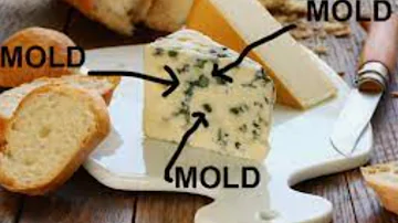 Blue Cheese - healthy or harmful?
