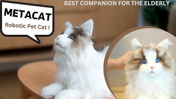Metacat: The Perfect Companion for the Elderly | AI-Powered Realistic Cat Robot