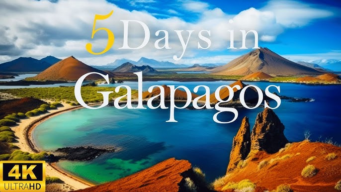 Explore The Galapagos Islands A 5-day 2024