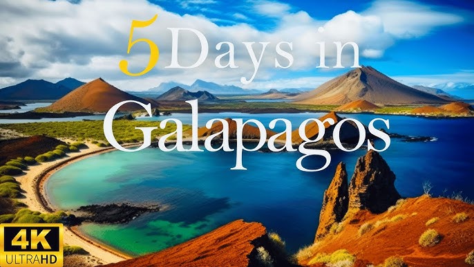5 Ways To Explore The Galapagos Islands A 5-day 2024