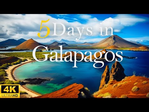 How to Spend 5 Days in GALAPAGOS Islands Ecuador