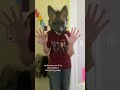 i fear i stole this idea from a moot on tiktok…// #therianthropy #dogtherian #therian #caninetherian