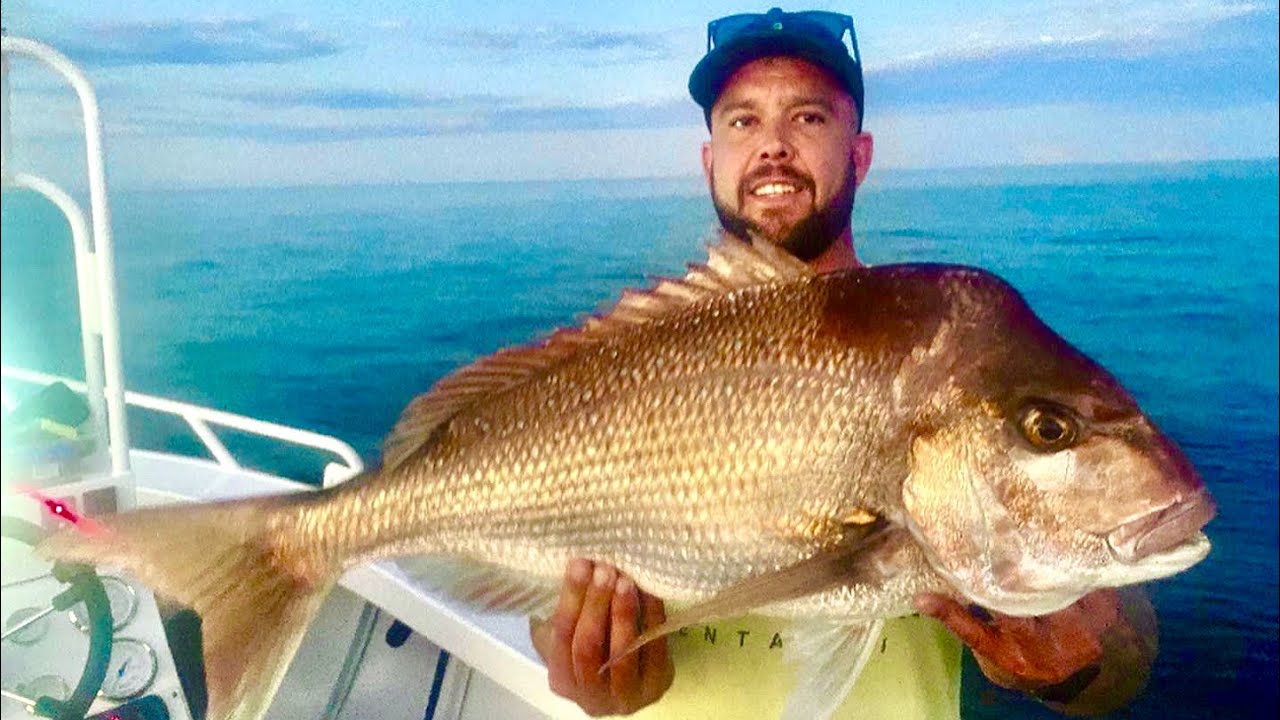 Snapper fishing OFF THE Gold Coast with soft plastics
