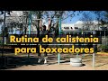 Podcast #6 Rutina de Calistenia para boxeadores principiantes 💪🏼🥊