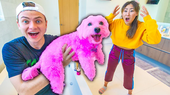 I DYED HER DOG PINK!! (PERMANENT)