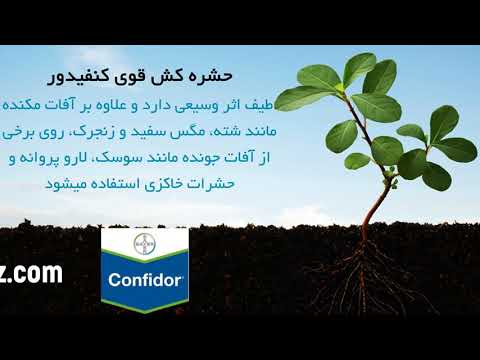 حشره کش کنفیدور، مؤثرترین سم حشره کش برای مزارع و باغ ها | Confidor