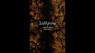 إن الله عنده علم الساعة وينزل الغيث ويعلم مافي الأرحام || سورة لقمان