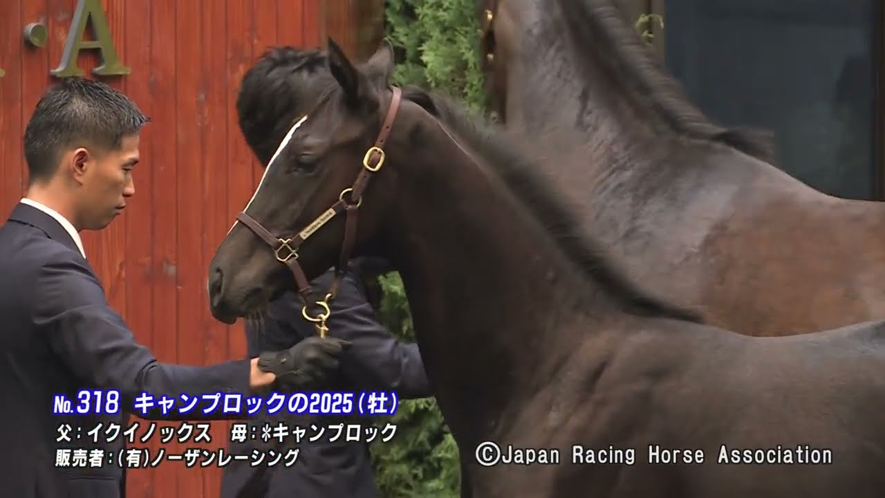 セレクトセール2025】キャンプロックの2025 - YouTube