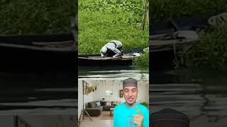 #namaz #love #islam #beautful #shortsviral #reels #trending