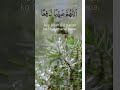 Barish || Allahuma saiyyiban naafiaa|| Rain karachi