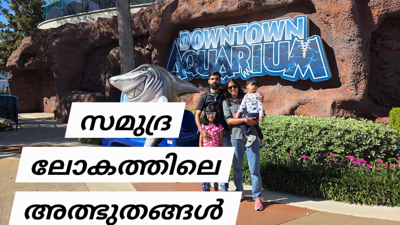 Downtown Aquarium Visit 🦈 Fun, Rides & Underwater World
