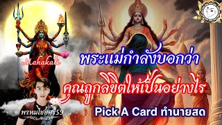 Pick A Card : พระแม่กำลังบอกว่าคุณถูกลิขิตกำเนิดมาให้เป็นอย่างไรtimelessพรหมไชยศรี59สายพระแม่มหากาลี