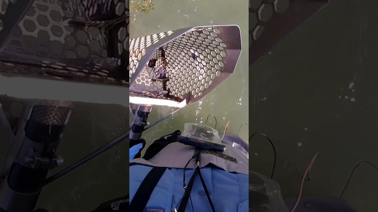 Water Metal Detecting Spoon Lure #shorts