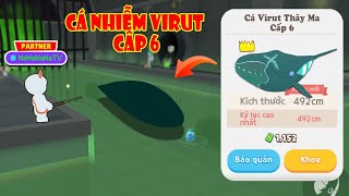 (Play Together) 48H Săn Những Loài Sinh Vật Thây Ma Bí Ẩn Nhiễm Virut Cấp Cao Cấp