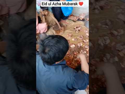 Eid ul Azha Mubarak ♥️ #eid2026 #eidmubarak #eidulazha