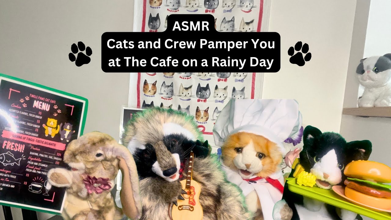 ASMR Roleplay Cat and Crew At The Cafe Pamper You On A Rainy Day Personal Attention Layered Sounds