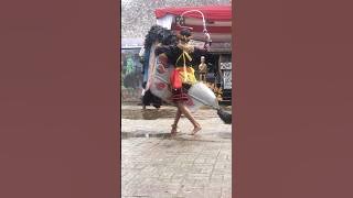 Festival budaya dayak kenyah #shorts