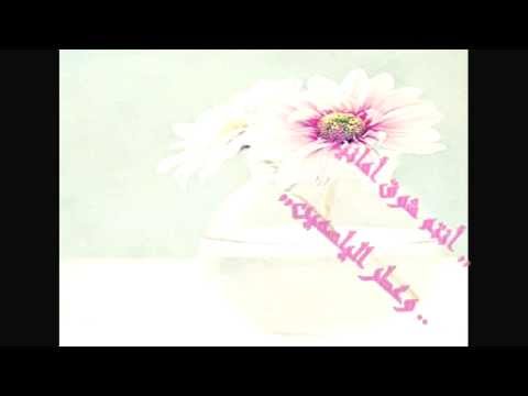 ابراهيم النقيب سفراء الذكر