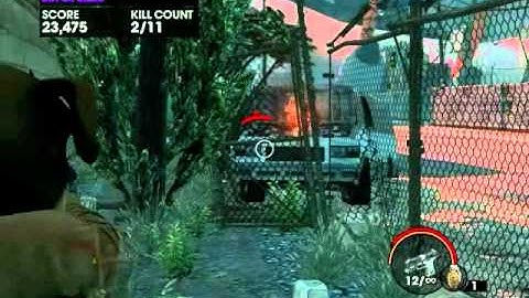 Saints Row: The Third (Whored Mode)