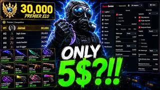 The Best $5 CS2 Cheats 2026? (MemeSense) Net Worth