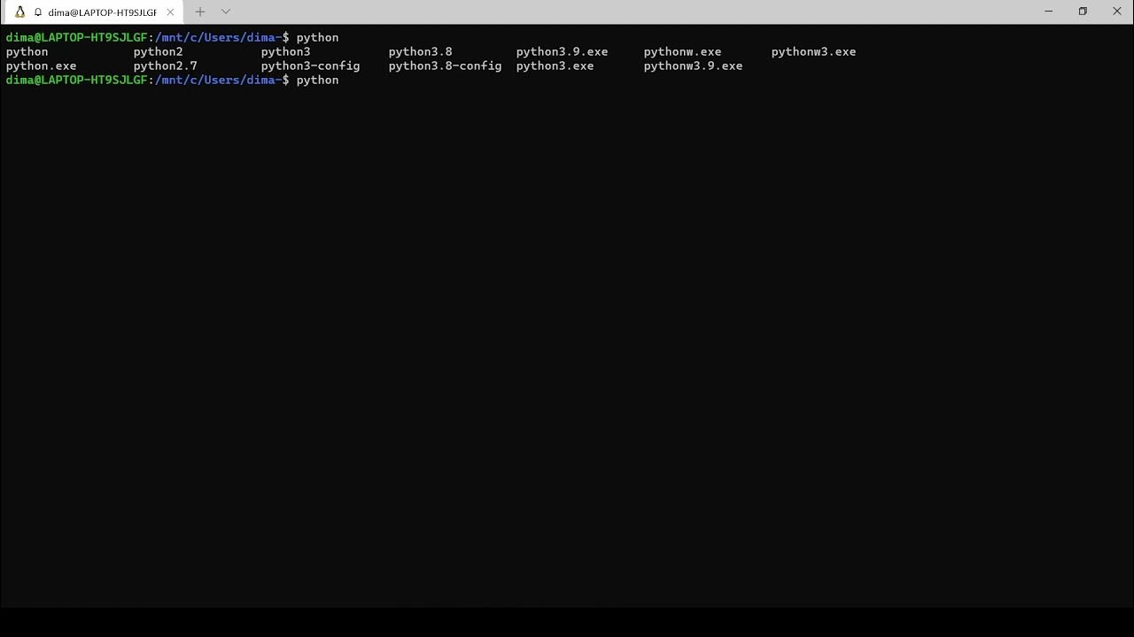 Установка python astra linux. Терминал Linux Python. Установленные версии Пайтон на компе 3.10 3.11 3.12 Скриншот.