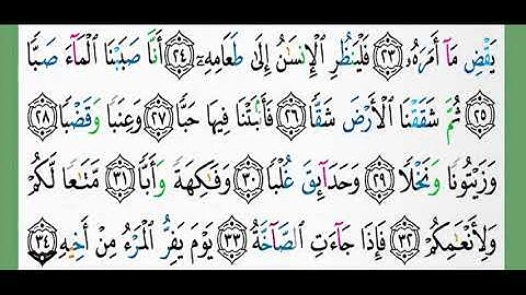 80-سورة عبس/القارئ الشيخ الزين محمد أحمد "alqari Sheikh Al-Zain Muhammad Ahmed