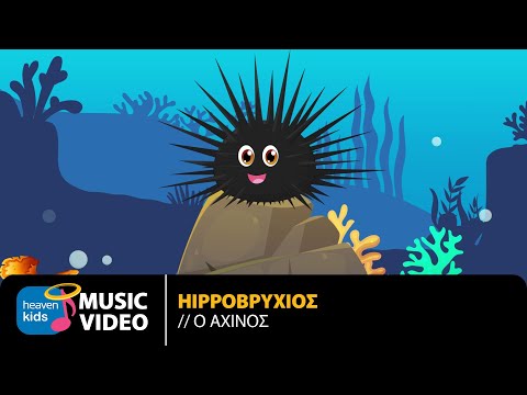 Watch Hippoβρύχιος – Ο Αχινός | Official Music Video (HD) on YouTube