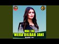 Mai Tai Mera Dilbar Jani