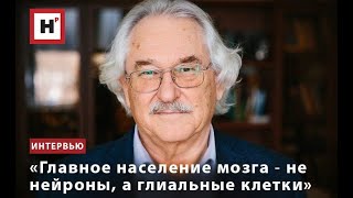 «ГЛАВНОЕ НАСЕЛЕНИЕ МОЗГА ― НЕ НЕЙРОНЫ, А ГЛИАЛЬНЫЕ КЛЕТКИ»