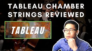 Checking Out: Tableau Chamber Strings by Organic Samples!